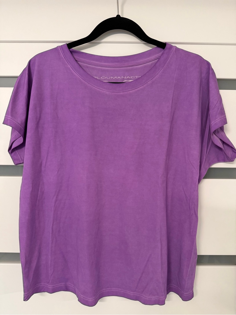 Ploumanach Purple Crewneck Women's Tee